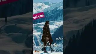 Chuni yadi#music #singer #gbnewsong2023 #viral #shina