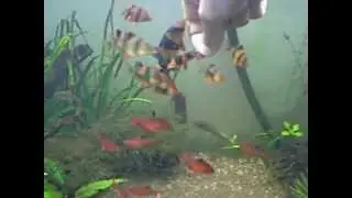 DSCN7166