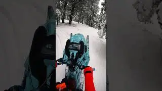 GGB Mountain Can Gen5 2024 Skidoo FreeRide 850na #skidoo #snowmobile #freeride