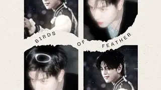 Birds of a feather (cover) seungmin - acapella بدون موسيقى