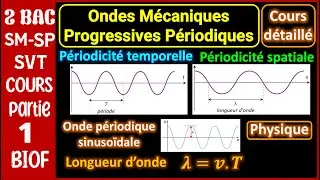 P1 - Ondes Mécaniques Progressives Périodiques || Cours détaillé || 2 BAC - BIOF
