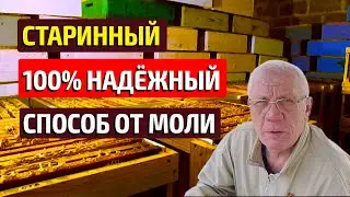 Как сохранить сушь от моли? Самый эффективный способ дающий 100% результат.