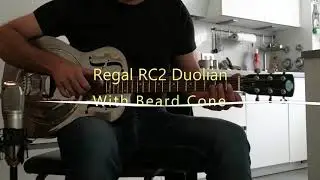 Swamp Dog Blues on a Regal RC-2 Resonator Guitar with Beard Cone Swap Open D Slide-Blues Lesson