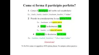 Come si forma il participio perfetto latino? La risposta in 4 passaggi! - Pillole di Latino