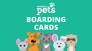 Boarding Cards