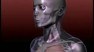 TBawareness