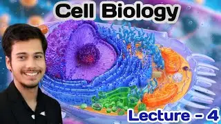 Louis Pasteur Experiment | Proof of Biogenesis | For CHSE, CBSE, NEET, AIIMS, BHU & JNU | BioBiswal