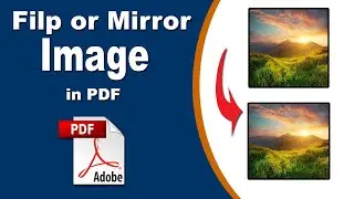 How to Flip PDF Image Vertically and Horizontally with Adobe Acrobat Pro 2020
