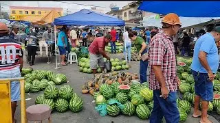 Feira livre em Lajedo-PE 24/12/25 Feliz Natal 