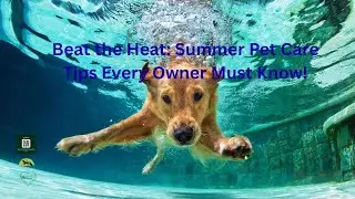 Beat the Heat: Summer Pet Care Tips Every Owner Must Know!#SummerPetCare