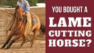 WHY would we buy a 17 YEAR OLD, LAME cutting horse?