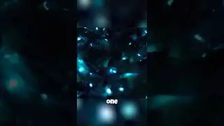 The Glowing Squid That Dies After ONE Year?! 💔