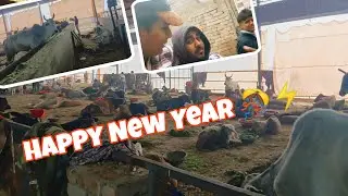 New Year Vlog 🥳 Best Day 