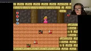 Super Mario Bros. 2 (USA) - Stream 2 | Quest to 100% every Mario