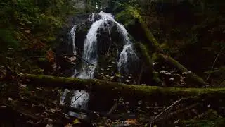 Video: Cascade Falls, Moran State Park, Orcas Island, Washington, US