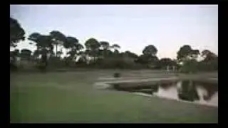 How to Jump Higher in Basketball ?World's First Thrown Hole in 1 - How Ridiculous.mp4