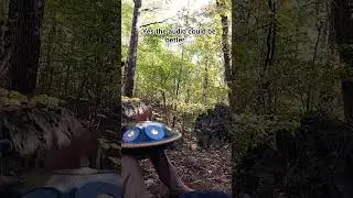 forest rocks #cekmore #nature #handpanmusic #handpan #lifeisbutadream #432hz #noshoes