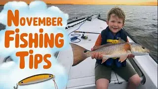 November Fishing Report on Florida's Adventure Coast (2025)