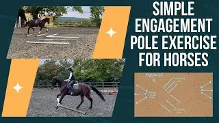 Simple Pole Exercise To Help Improve Your Horses Engagement + What&rsquo;s Happened To The Weather!