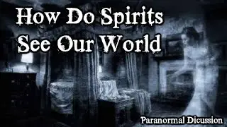 Paranormal Discussion - How do spirits see our world?
