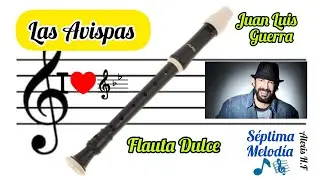 Las Avispas en Flauta Dulce de Juan Luis Guerra