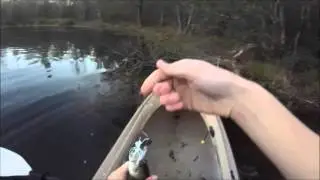 Trying out Strike King 'mini pro buzzbait'
