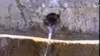 Şimşek Dede Video 4. Bölüm