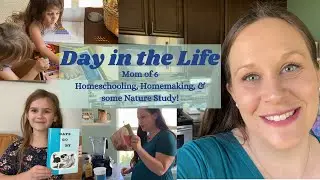Day in the Life Homeschool Mom of 6 | DITL | Simple Nature Study | Homemaking | Small Children