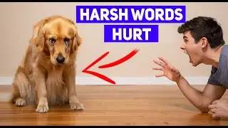 5 Everyday Things That HURT Your Dog's Feelings (Stop Now)