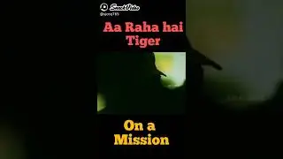 Salman Khan ek tha tiger & tiger zinda hai dialogue full screen status