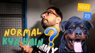 Kya Yeh Saab Normal Hain Kya Jo Mere Saath Ho Raha Hain. #jehandzoey #dogs #namitaology