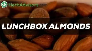 Almonds from Lunchbox Alchemy Review by HerbAdvisors.com