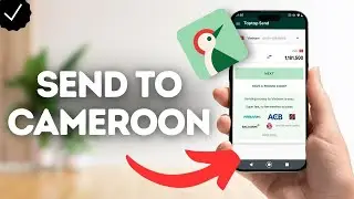 How To Send Money To Cameroon On TapTap Send?