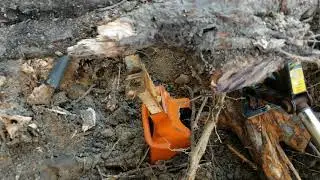 Tree Root Removal with Car Jack