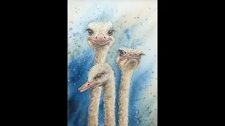 3 Ostriches in Watercolour Demonstration