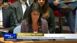 UN Security Council investigating claims of sanctions violations