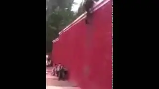Soldiers using some team work to climb a wall