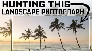 Hunting The Perfect Landscape Photograph of Tropical Palm Trees