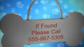 Patrick Woodzelle | Lost and Found Tag System