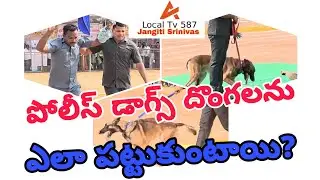 పోలీస్ డాగ్స్ దొంగలను ఎలా పట్టుకుంటాయి? @LocalTv587 