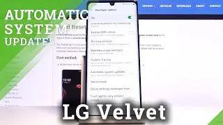 How to Enable Auto Update System in LG VELVET &ndash; Turn On Automatic System Update