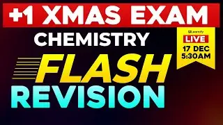 Plus One Christmas Exam | Chemistry Flash Revision | Learnify Future