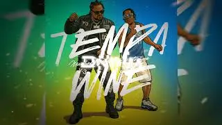 Machel Montano x Tempa - Tempa Wine (D Ninja Edit) | Soca 2026