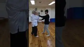 Wing Chun - Chi Sau #kungfu #wingchun #israel