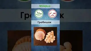 Халяль или харам, Морепродукт #youtube #halal #shorts