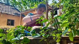 VILLAGE STYLE RICE IDLY SAMBAR DINNER SPECIAL RECIPE | DELTA VILLAGE LIFE