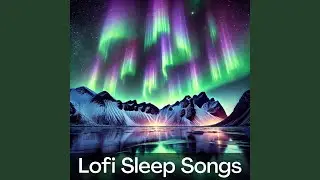Nighttime Harmony