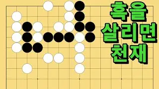 바둑 묘수 사활 - 적의 급소는 나의 급소를 일깨워주는 묘수가 있습니다. 흑을 살려보세요.