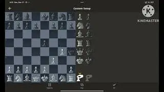 Chess: The fools mate