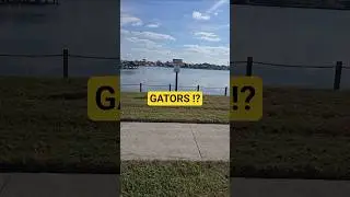 Christmas walk n bike..FLORIDA cheers! BEER:30